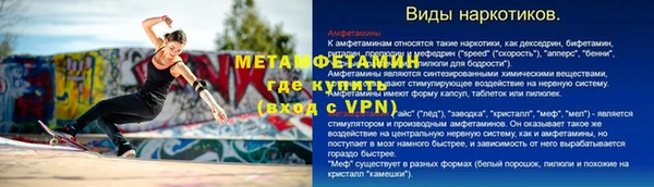 прущие грибы Богданович