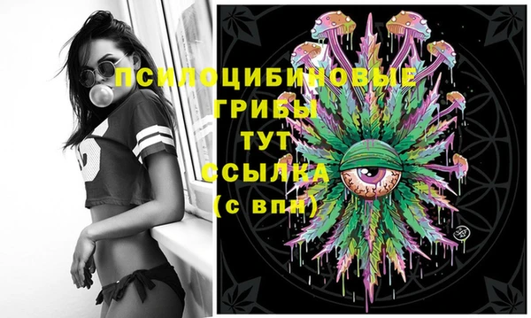 прущие крисы Богородск