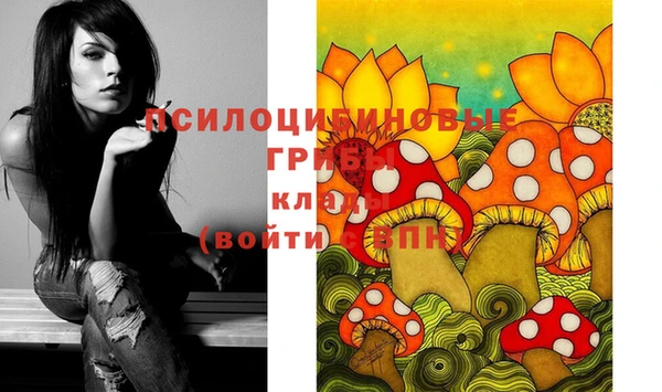 mdma Богородицк