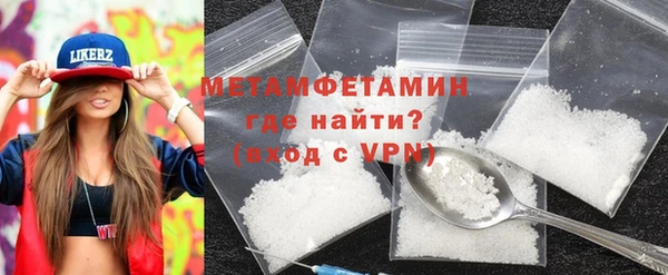 прущие грибы Богданович