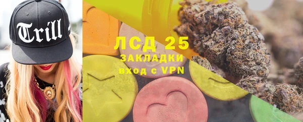 прущие грибы Богданович