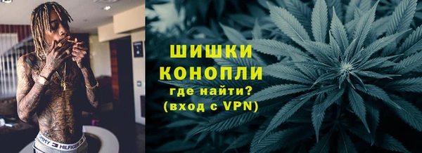 прущие грибы Богданович
