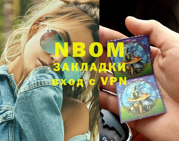 прущие грибы Богданович
