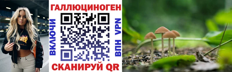 Купить закладки Талдом Галлюциногенные грибы Cubensis